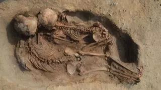 Los ancestros humanos se podrían haber extinguido hace 800.000 años