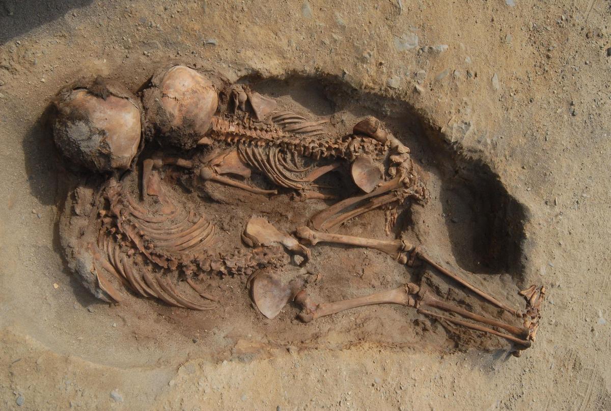 Els ancestres humans es podrien haver extingit fa 800.000 anys Els ancestres humans es podrien haver extingit fa 800.000 anys