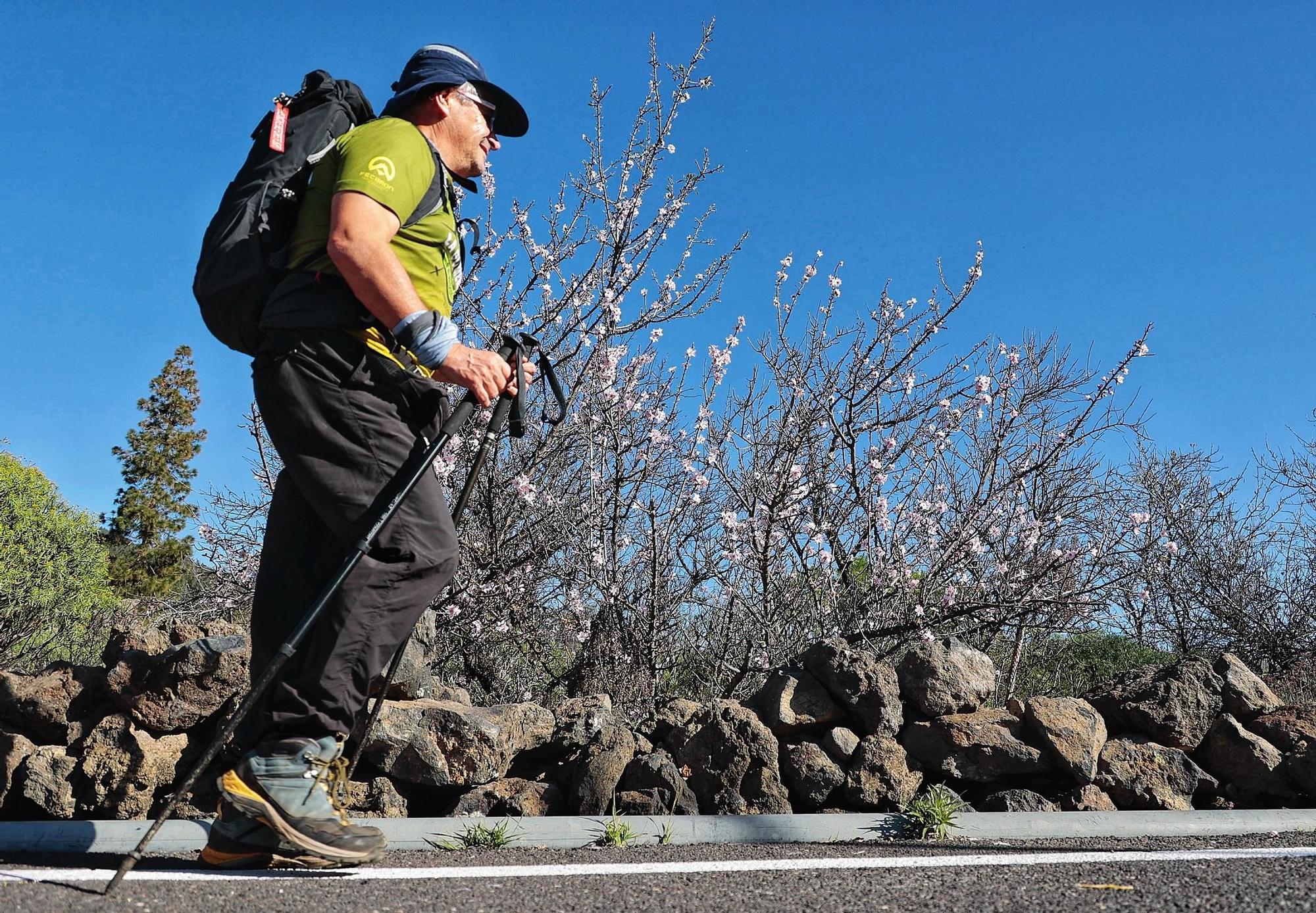 Pateos para ver el almendro en flor