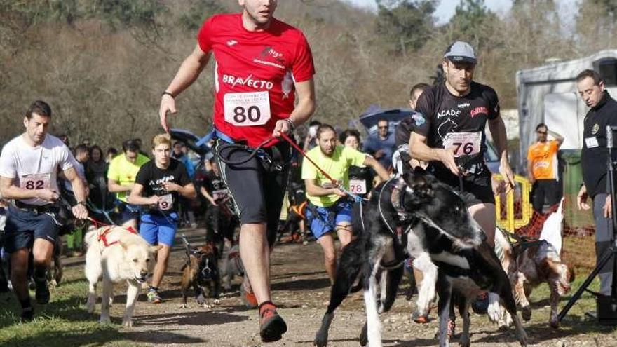 Unos deportistas de &quot;mushing&quot; compiten en la liga gallega. // Bernabé