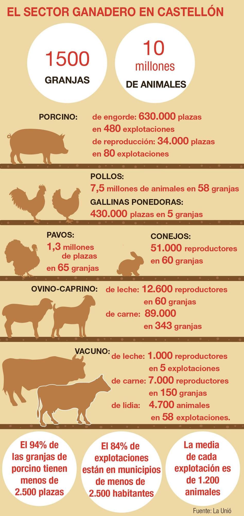 Datos sobre el sector a nivel provincial.