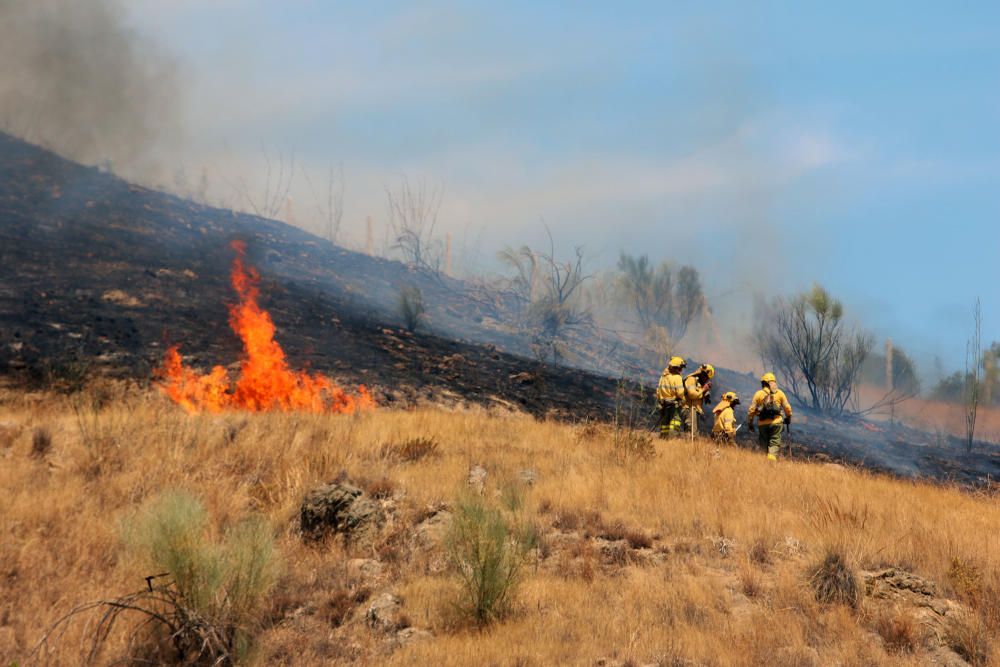 Se declara un incendio en Los Asperones