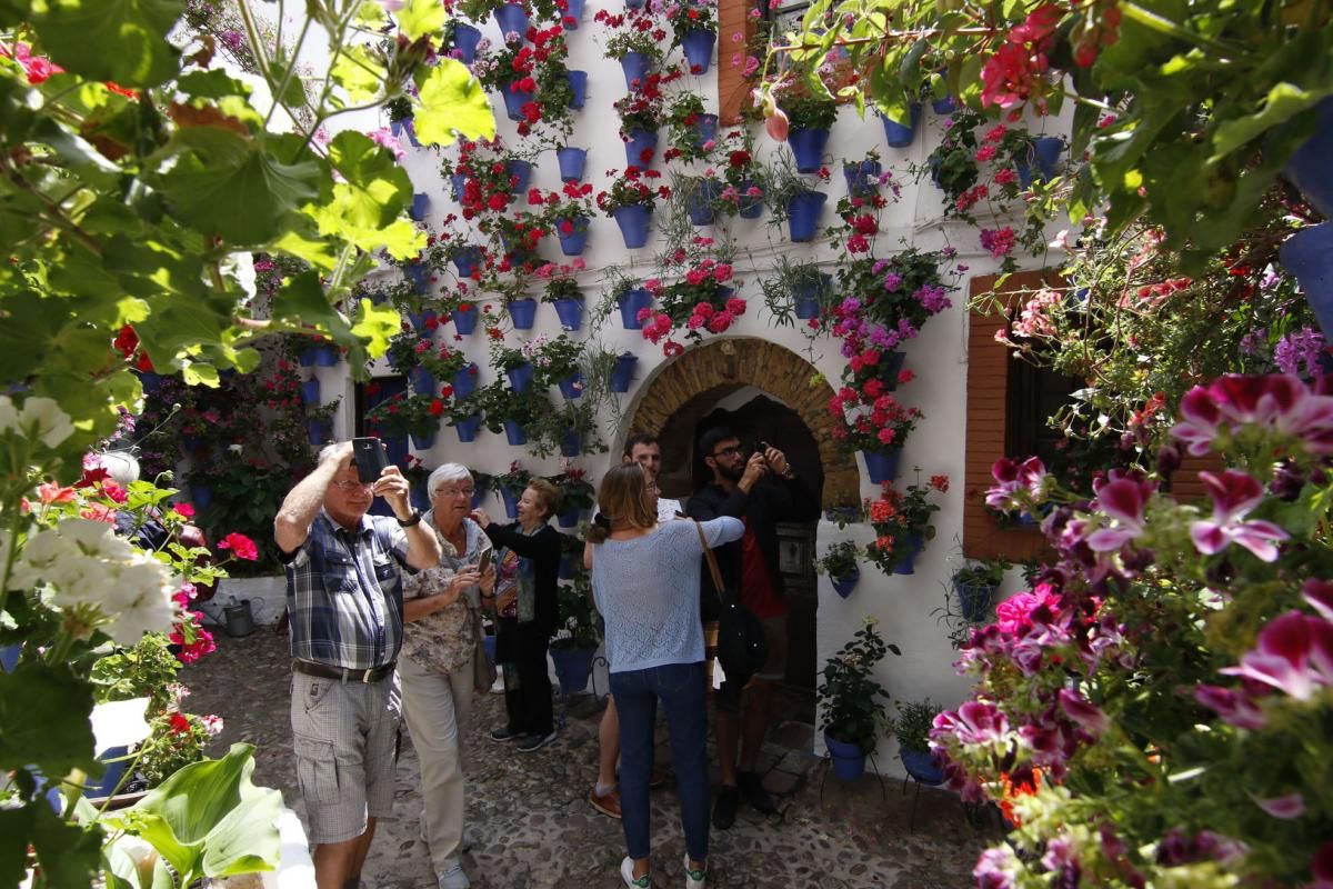 Paseando por el Alcázar Viejo