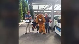 No, no es broma: presentan a un león como candidato a las elecciones de un pueblo de Málaga