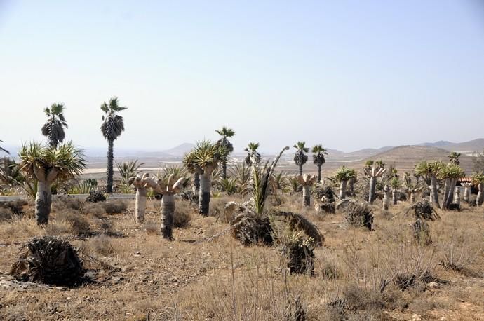 Antiguo pabellón de descanso del Ejército del Aire en El Goro (Telde)