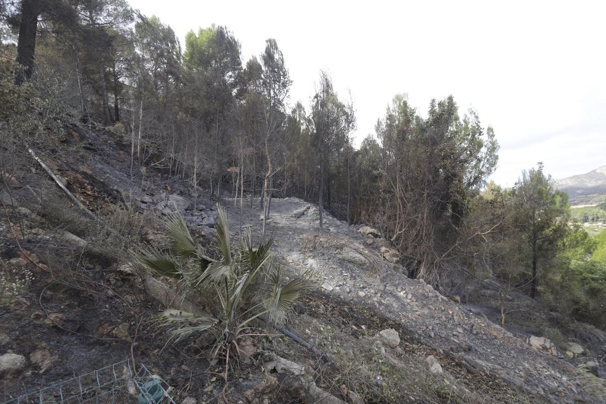 El incendio arrasa la urbanización Monte Corona de Ador