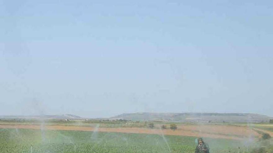 Un agricultor de la zona prueba el sistema de riego en su parcela.