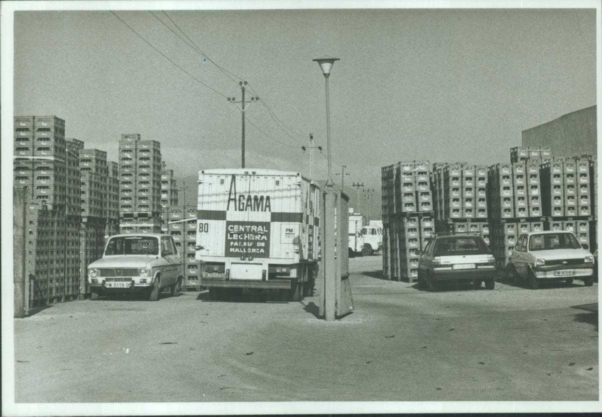 FOTOS | La historia de Agama, en imágenes