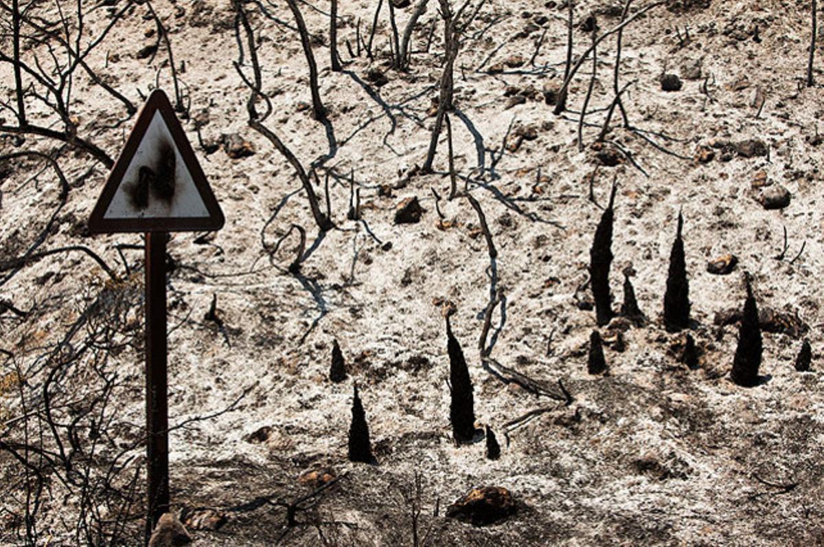 Un senyal de trànsit en el paisatge cremat, després de l’incendi, a la carretera de l’Embassament de Forata a Iàtova (València).