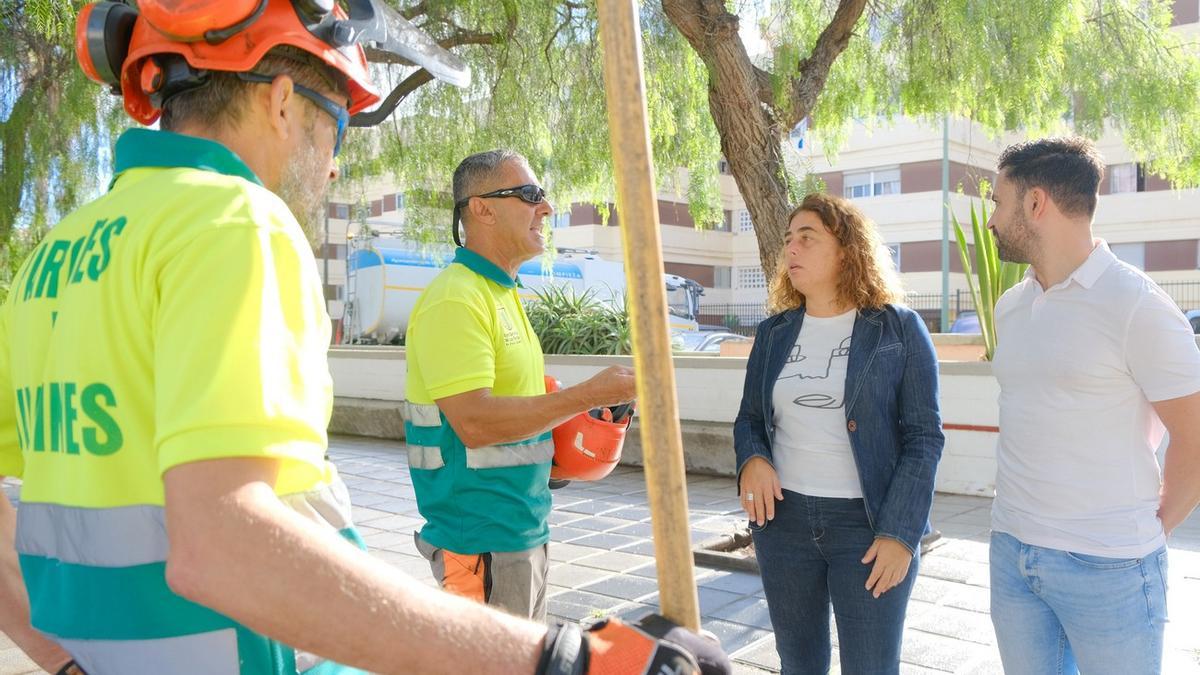 El Ayuntamiento recoge más de 60 toneladas de residuos en el plan especial de limpieza y cuidado de zonas verdes.