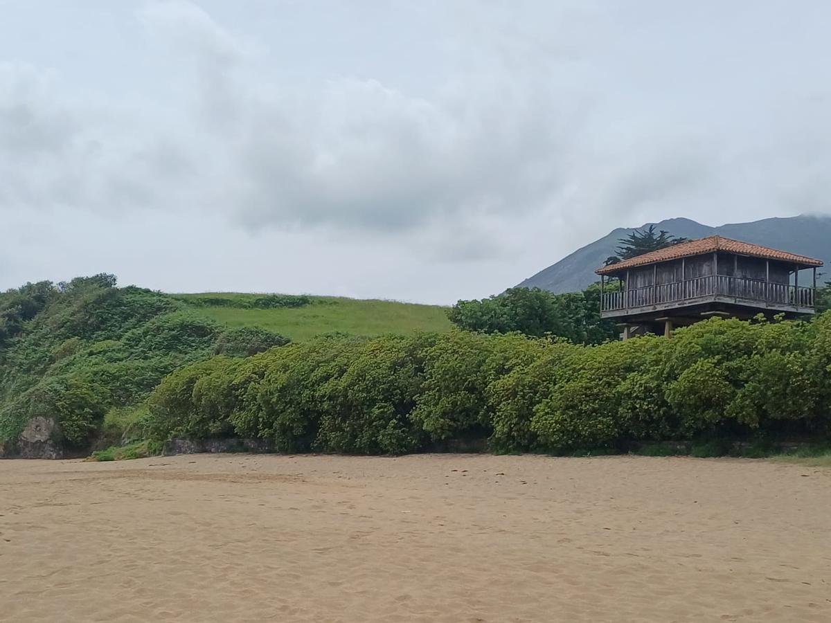 La zona donde se proyectan 28 chalés, junto a la playa de La Isla.