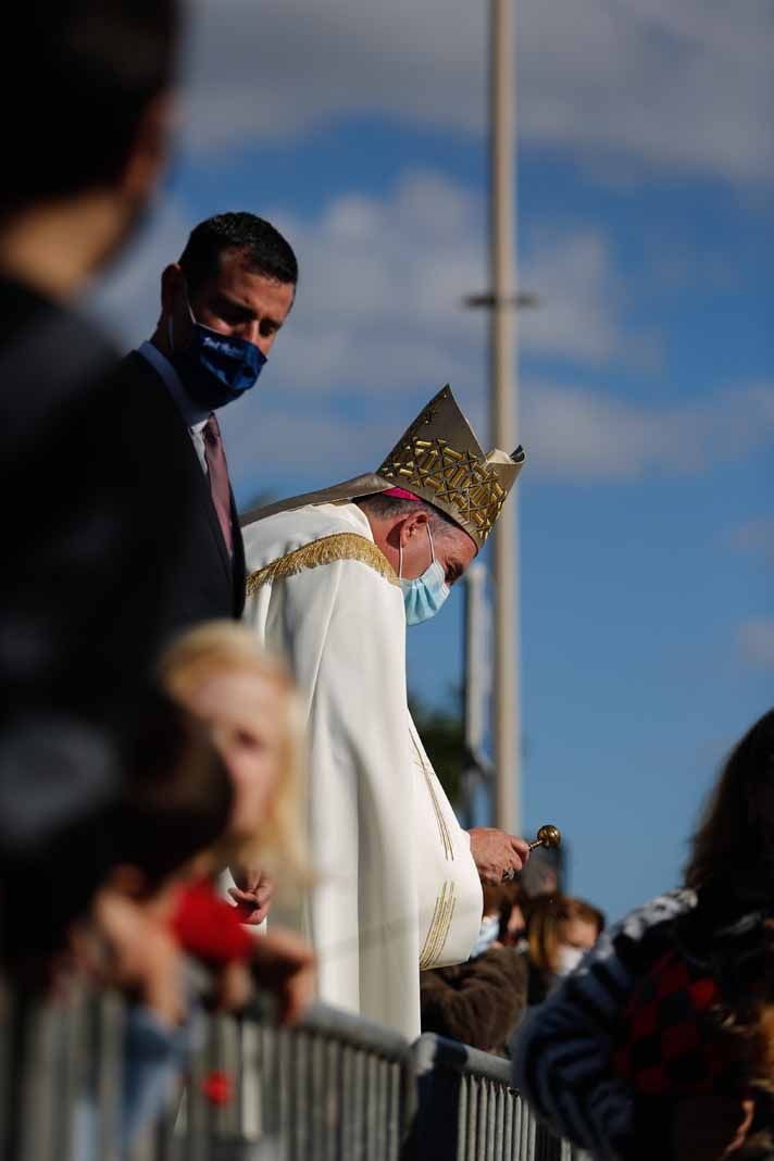 Bendición de animales en Sant Antoni