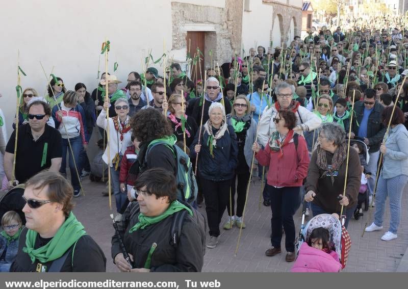 GALERÍA DE FOTOS - Romería Magdalena 2014 (5)