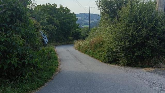Uno de los viales que presentan maleza en sus márgenes.  |