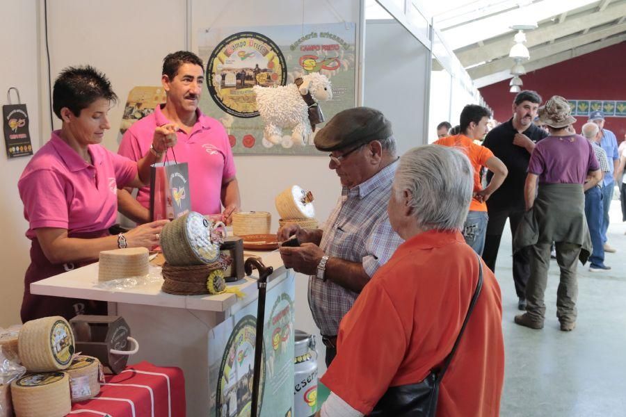 Fiesta de la Trashumancia en San Vitero