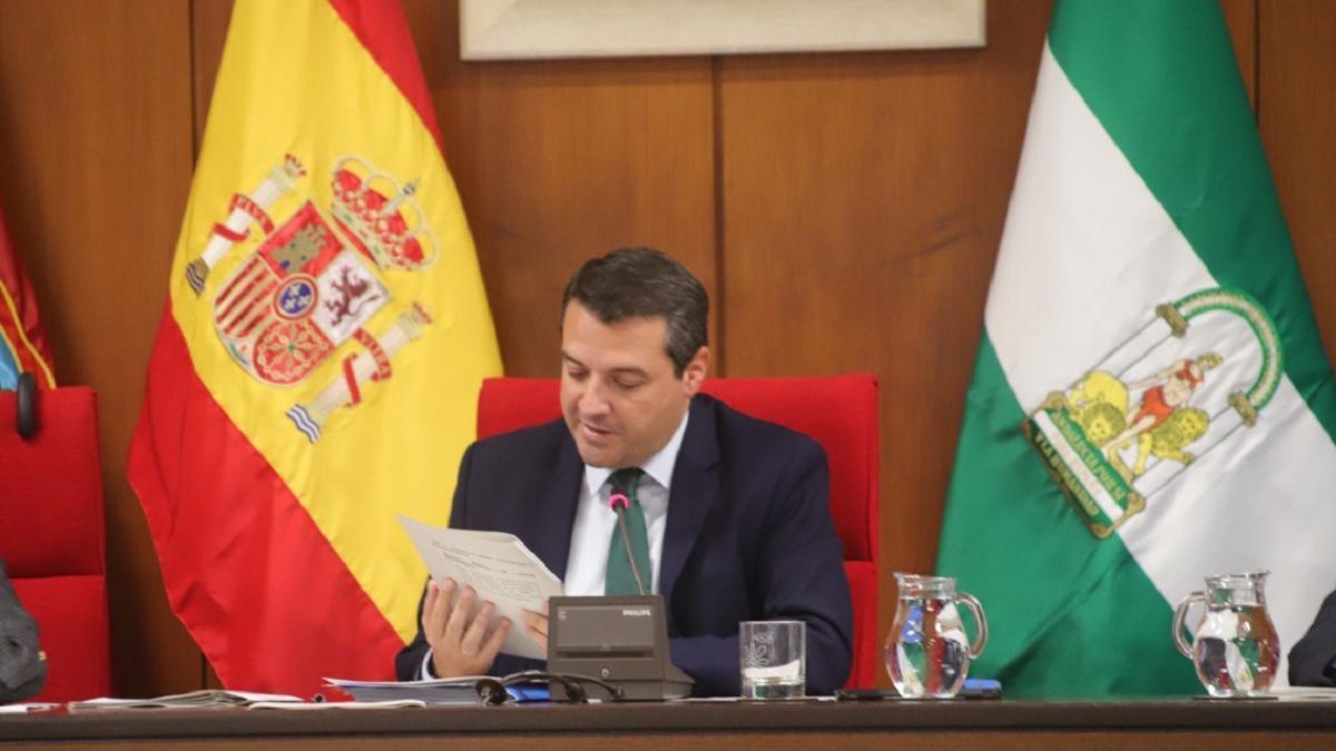 El alcalde de Córdoba, José María Bellido, durante el pleno.