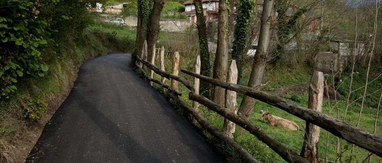 Un tramo de la carretera de Vegalafonte, ya rehabilitada.