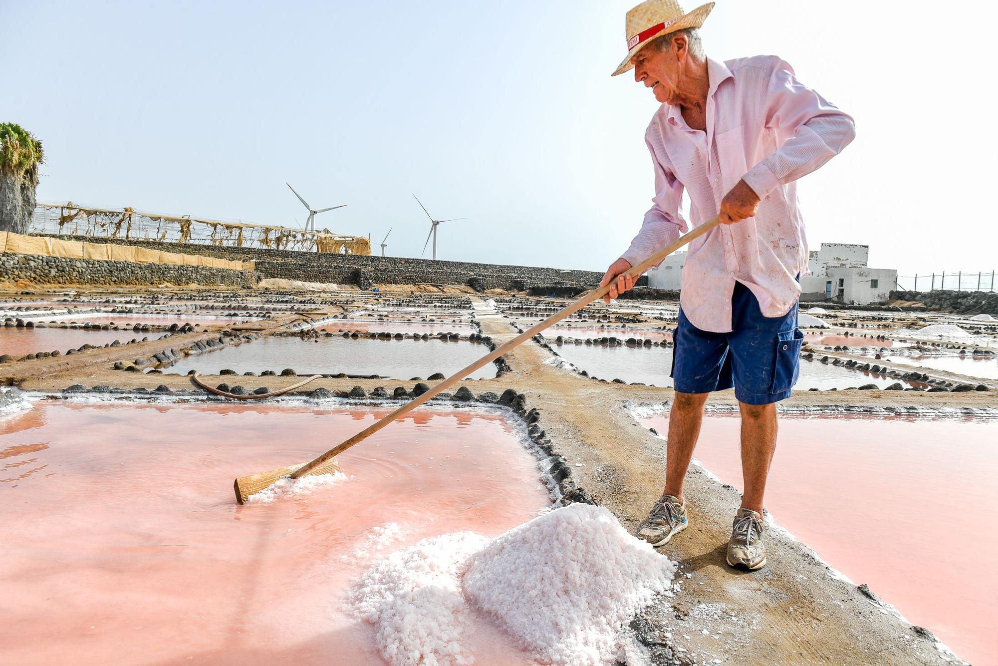 Salinas de Vargas