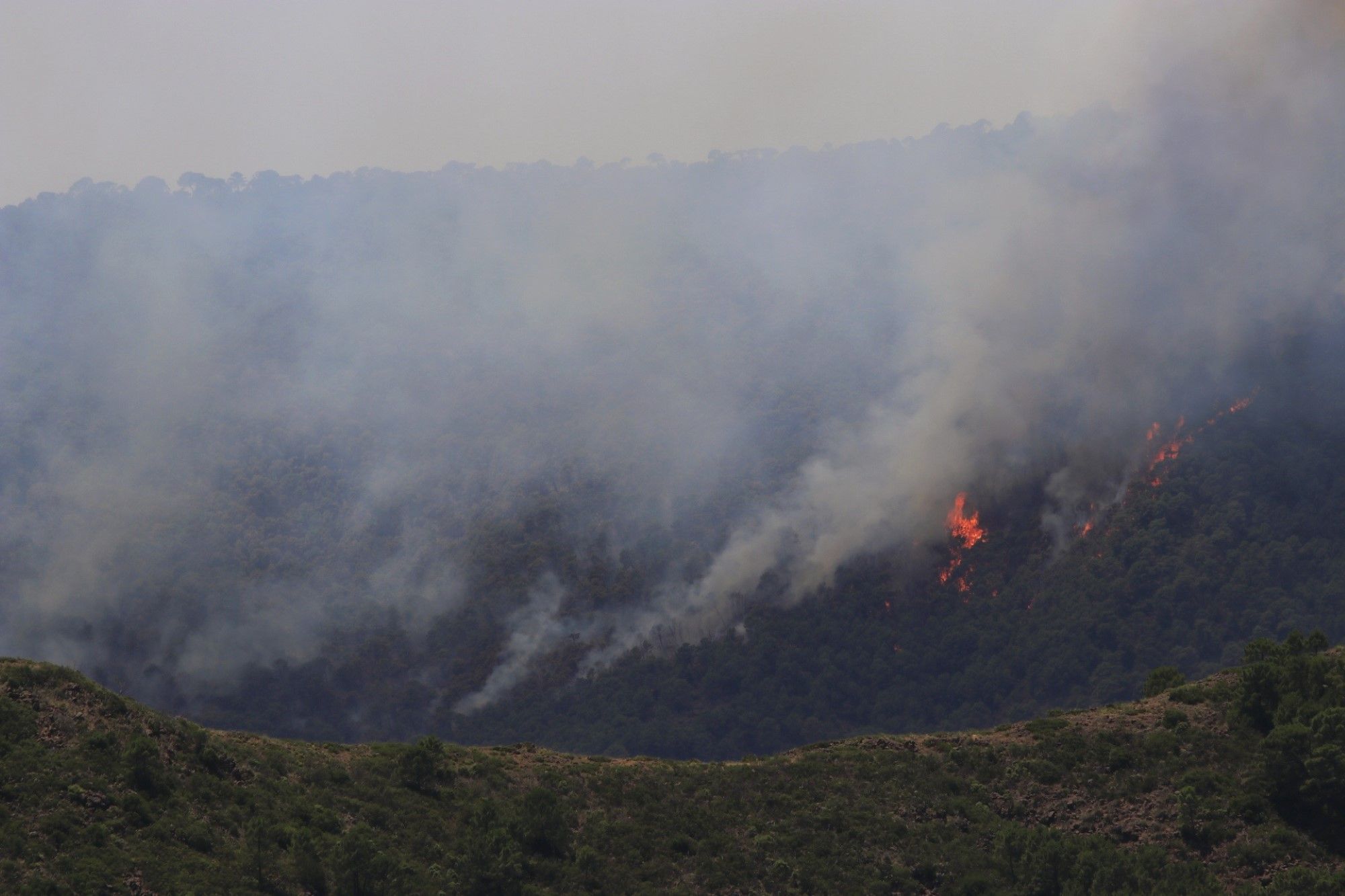 Un millar de efectivos trabajan para controlar el fuego de Sierra Bermeja