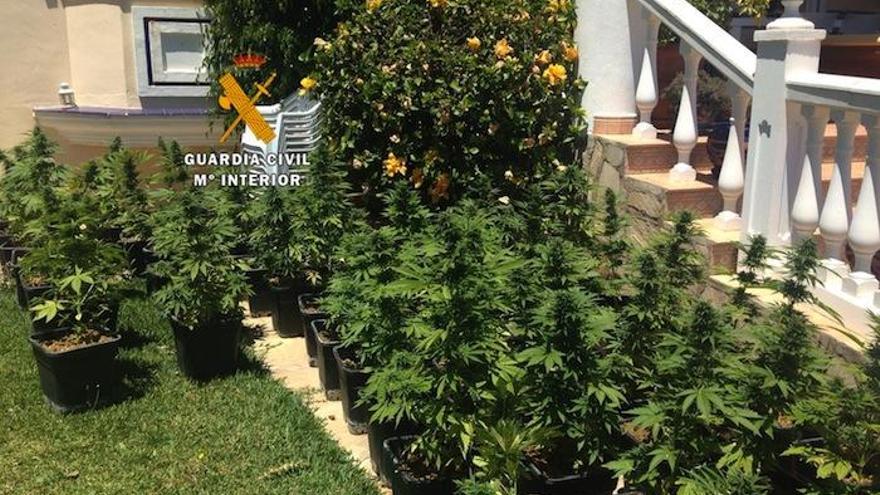 Marihuana incautada en Coín por la Guardia Civil