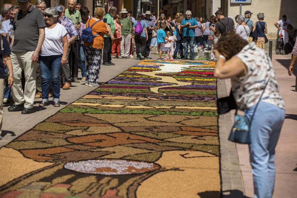 El concurs de catifes de flors naturals omple Arbúcies