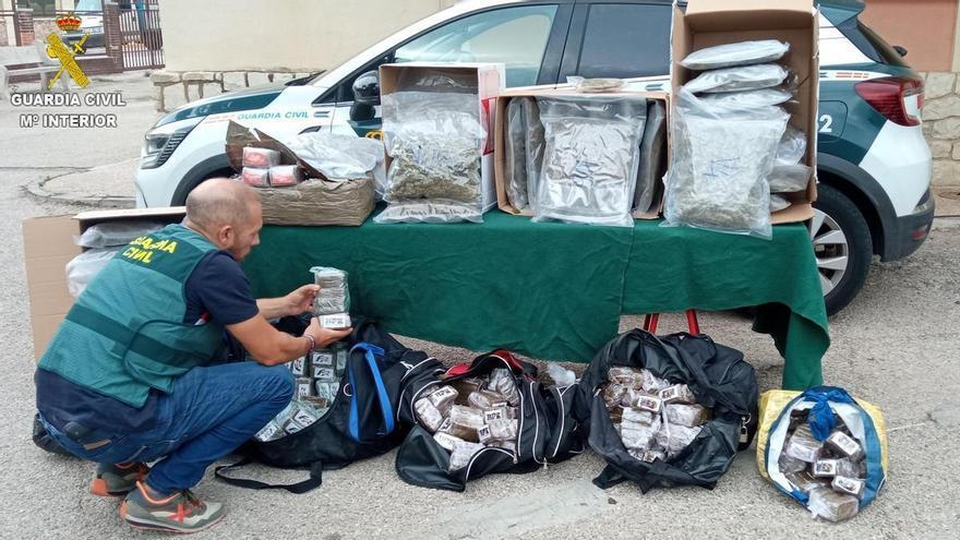 Desarticulan un grupo organizado dedicado al tráfico de drogas en latas de aceitunas en la Ribera Alta