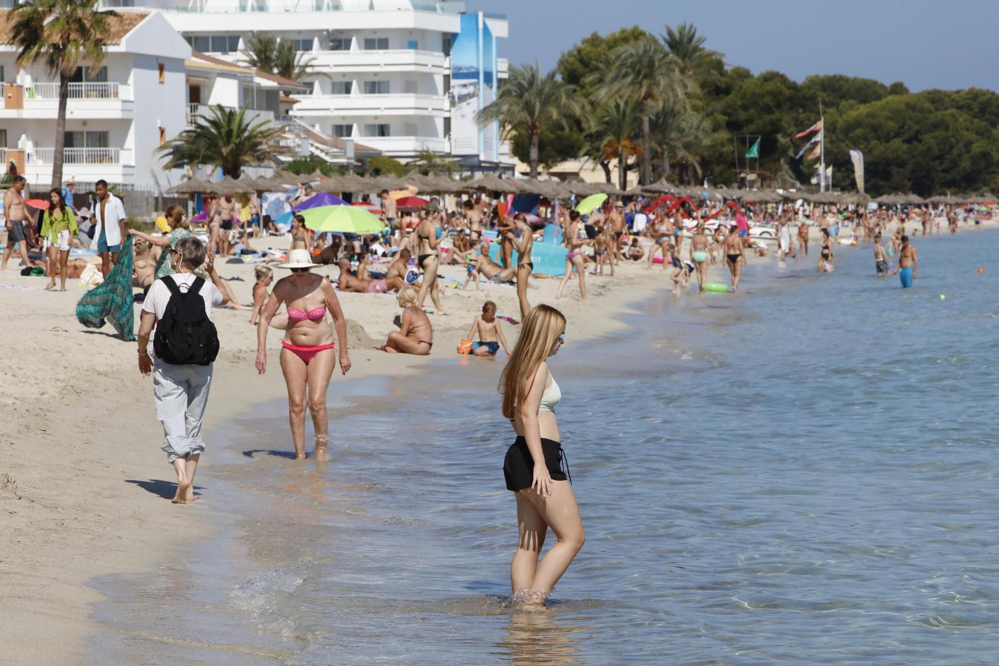 Sommer-Urlaub im Oktober: So sieht es derzeit am Strand von Alcúdia auf Mallorca aus