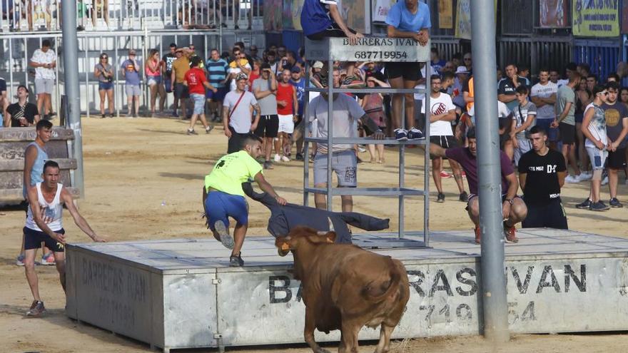 Toros en Sagunt