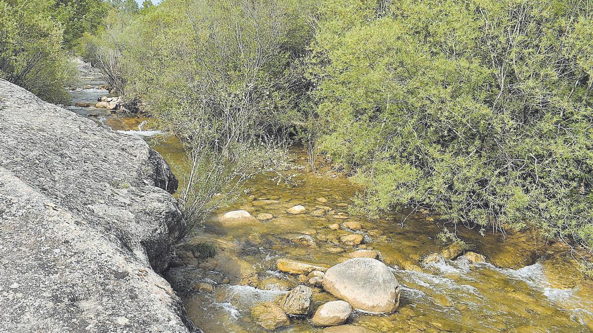 Zona de la Riera de Merlès on aquest estiu no s’autoritzarà el bany