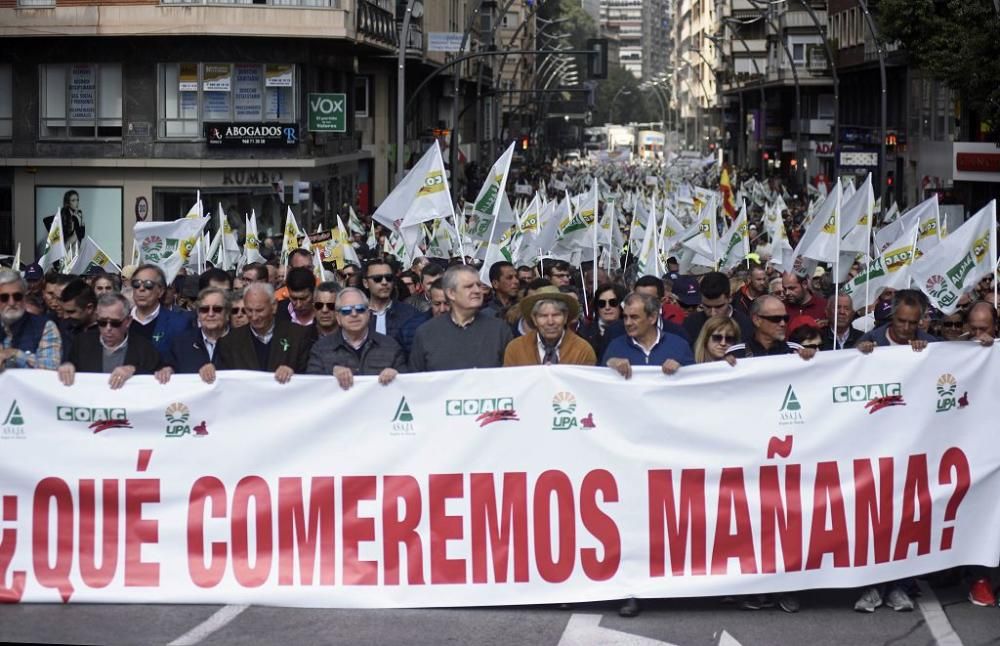 Así ha sido la manifestación de los agricultores en Murcia (II)