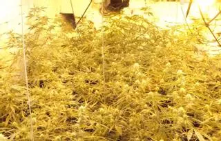 La lucha contra la droga deja 23 puntos desmantelados y 34 detenidos en un año