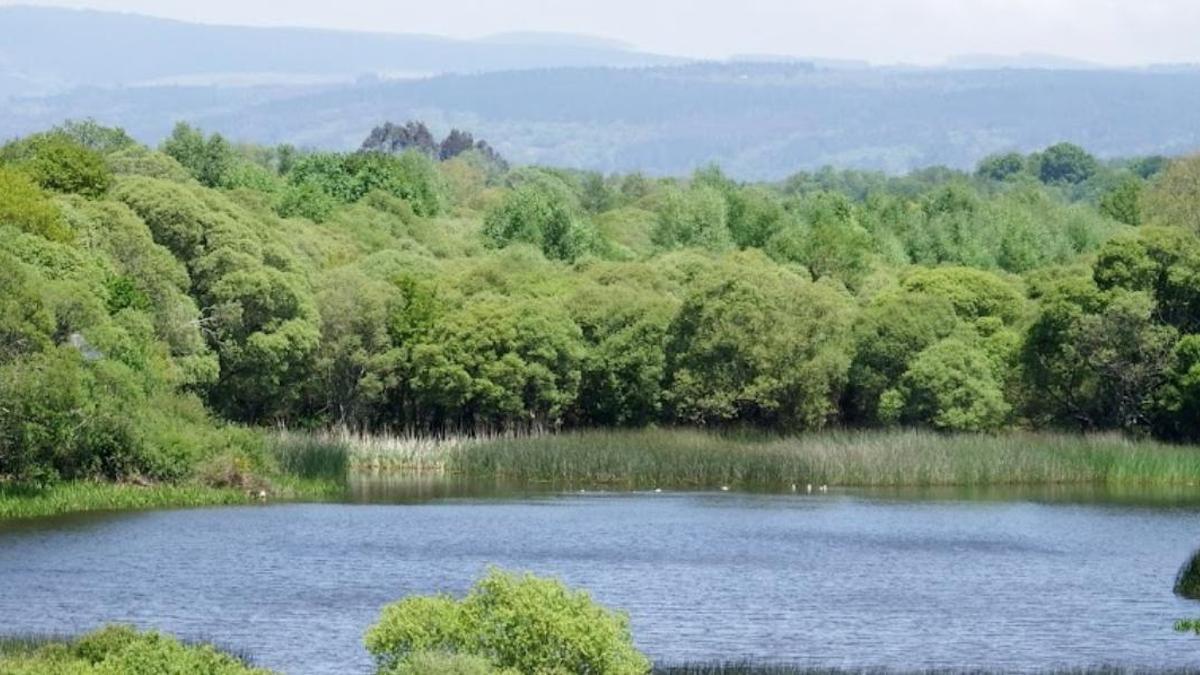 Lagoa de Cospeito