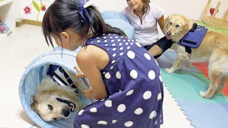 La psicóloga Laura Pazos y dos Golden Retriver, en una sesión de terapia. // Jorge Santomé