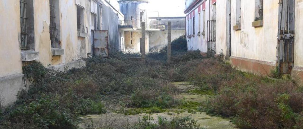 Interior de la antigua cárcel provincial, deteriorada e invadida por la maleza. |   // CARLOS PARDELLAS