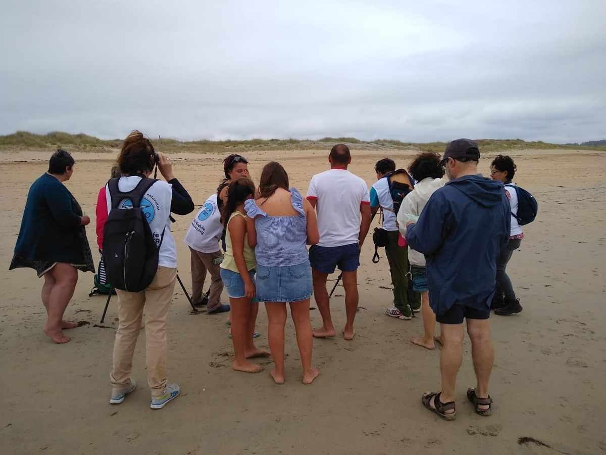Imagen de archivo de una jornada de divulgación en las playas para informar a los usuarios sobre la presencia de la "píllara das dunas".