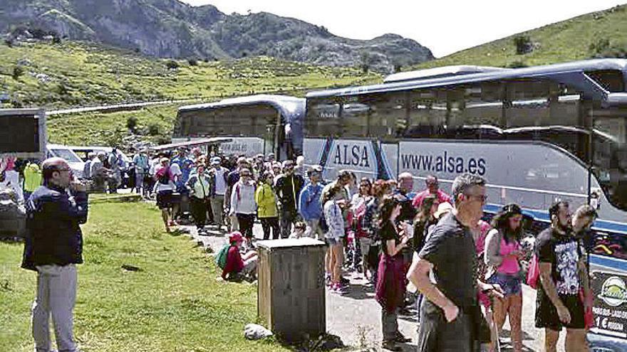 Un año de reventón en la comarca