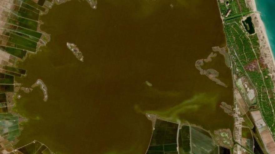 El satélite confirma el retroceso del ‘alga incógnita’ que tiñó de marrón l’Albufera