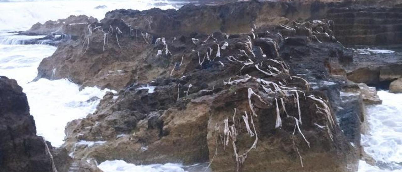 Las fibras de las toallitas enganchadas en las rocas de la cala del Ministro. | A. P. F.