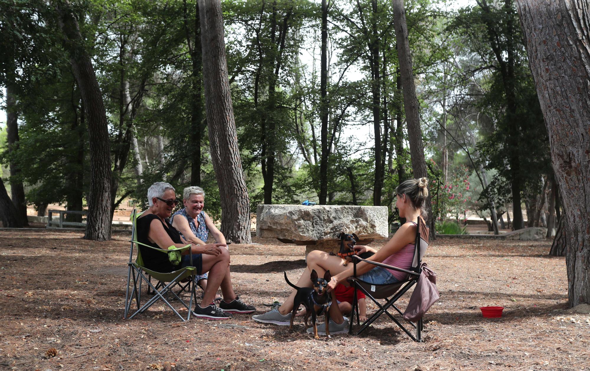 Ola de calor: Las altas temperaturas llegan a la Comunitat Valenciana