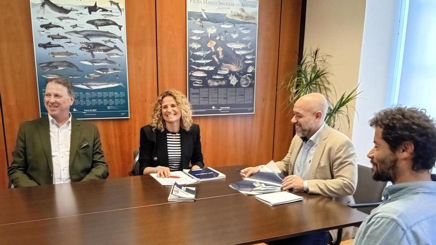 Cruz Roja y el Ayuntamiento de Gijón colaborarán en actividades medioambientales