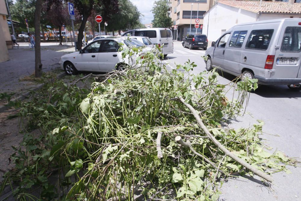 L'endemà de la tempesta que va col·lapsar Girona