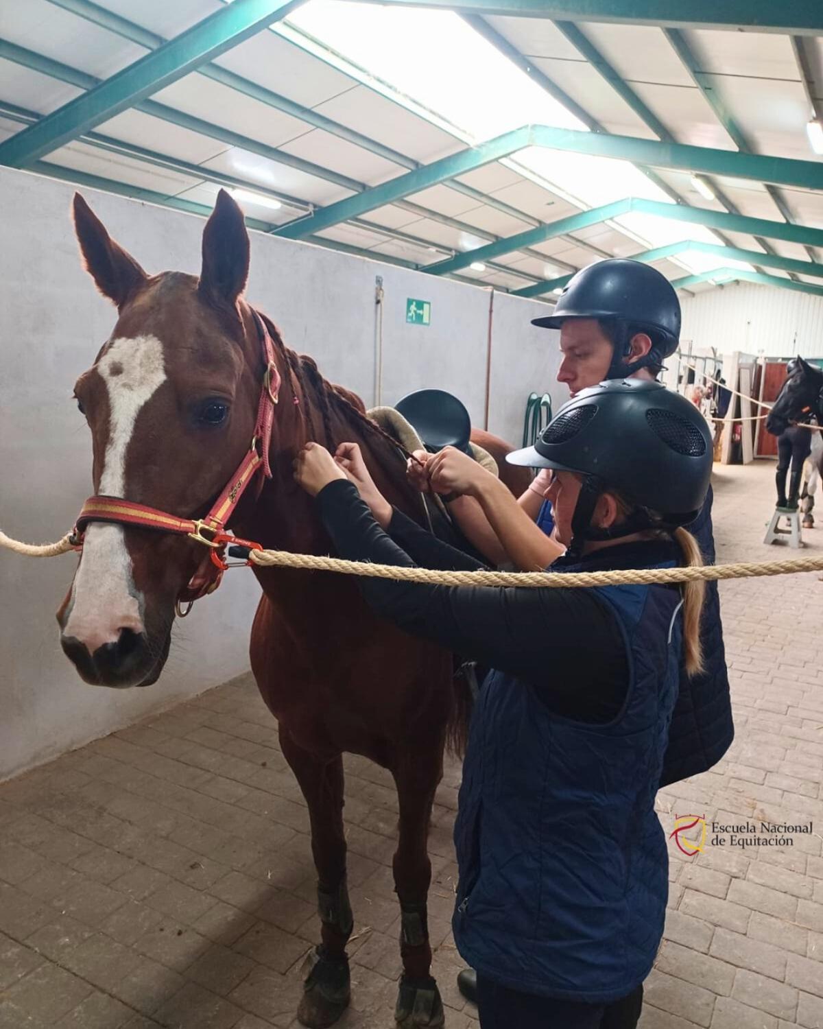 La ENE ofrece formación académica deportiva en el Centro Hípico de Segorbe gracias al acuerdo con la UCV.