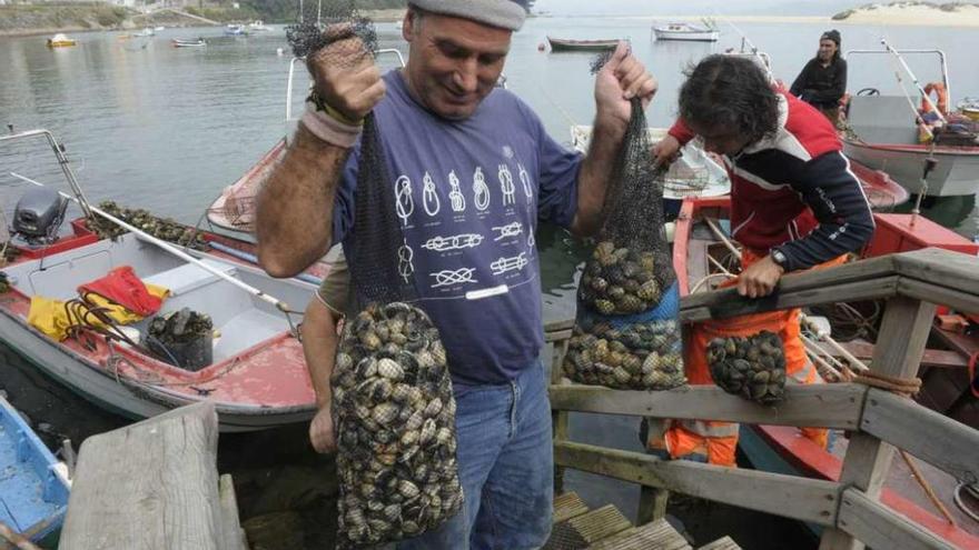 Mariscadores en la ría de O Burgo.