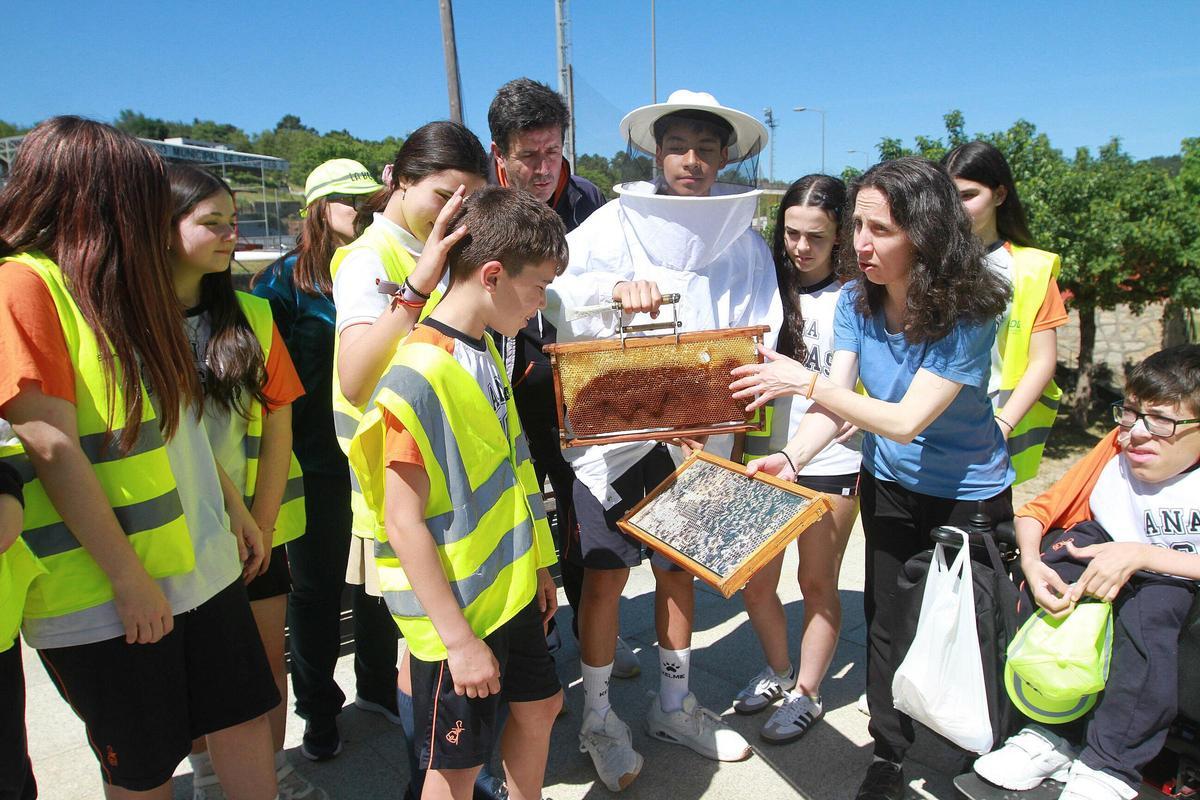 La apicultora Fina Pérez mostrando los panales a los escolares