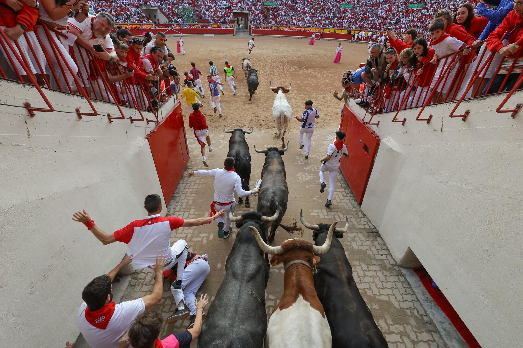 PAMPLONA, 14/07/2025.- Los mozos son perseguidos por toros de la ganadería sevillana de Miura en el callejón de entrada a la Plaza de Toros durante el octavo y último encierro de los Sanfermines este lunes. EFE/ J.P. Urdiroz
