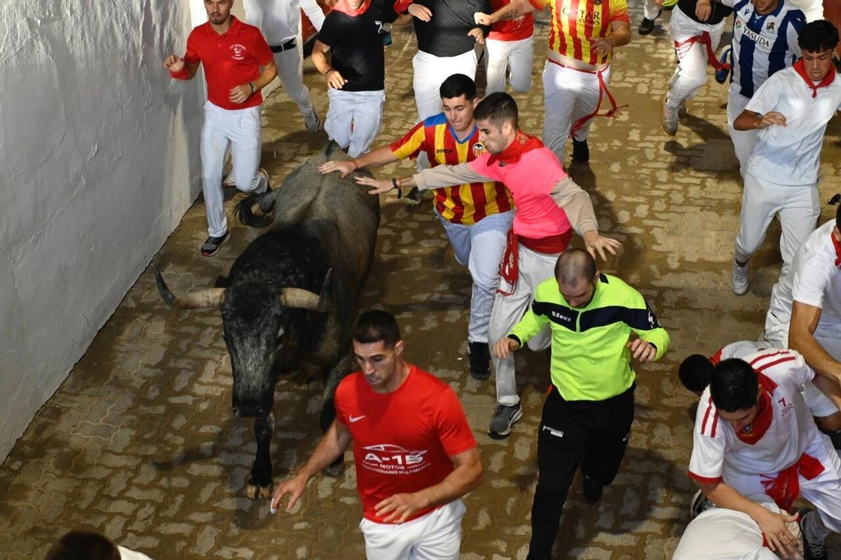 Muchos valencianos viven en sus propias carnes los encierros de San Fermín