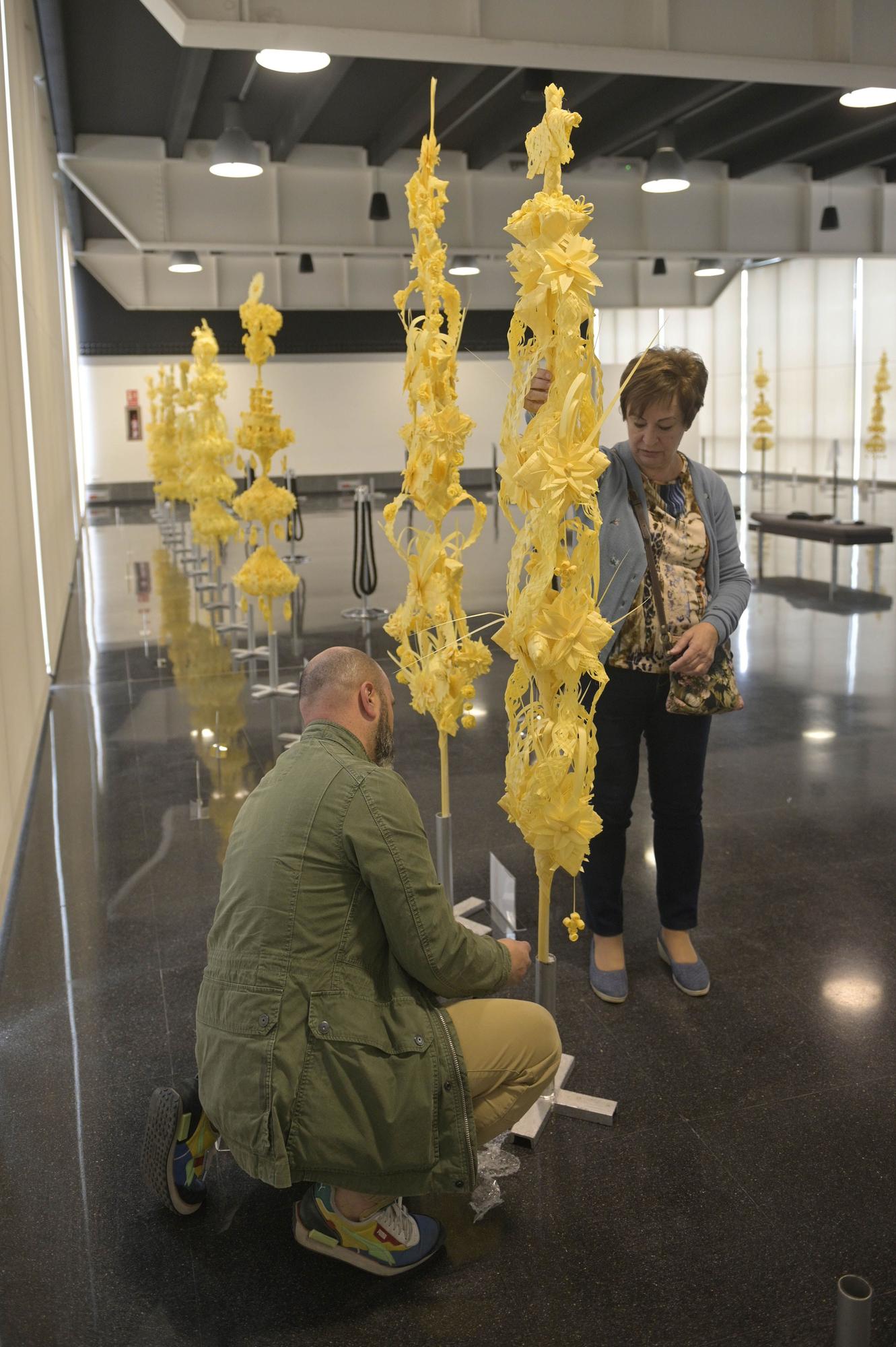 Concurso Palma Blanca de Elche