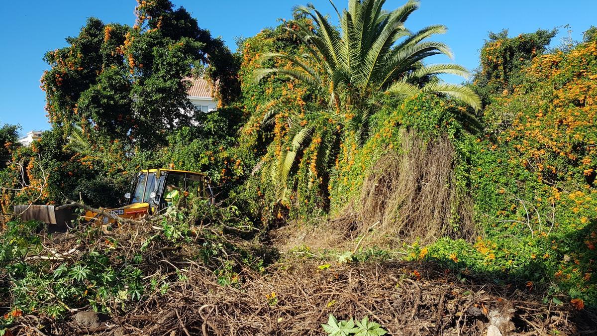 La parcela que se habilita como zona verde en Puerto de la Cruz estaba cubierta de maleza