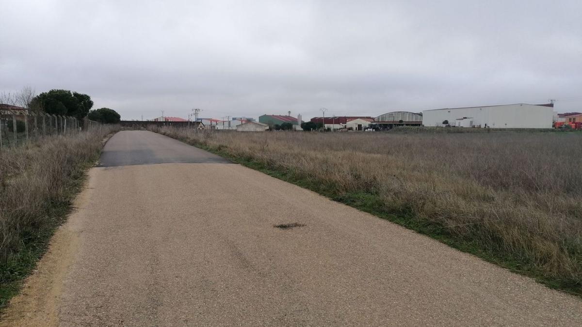 Camino de Rúales,  que conecta el polígono norte de Toro con la carretera de Pozoantiguo. | M. J. C.