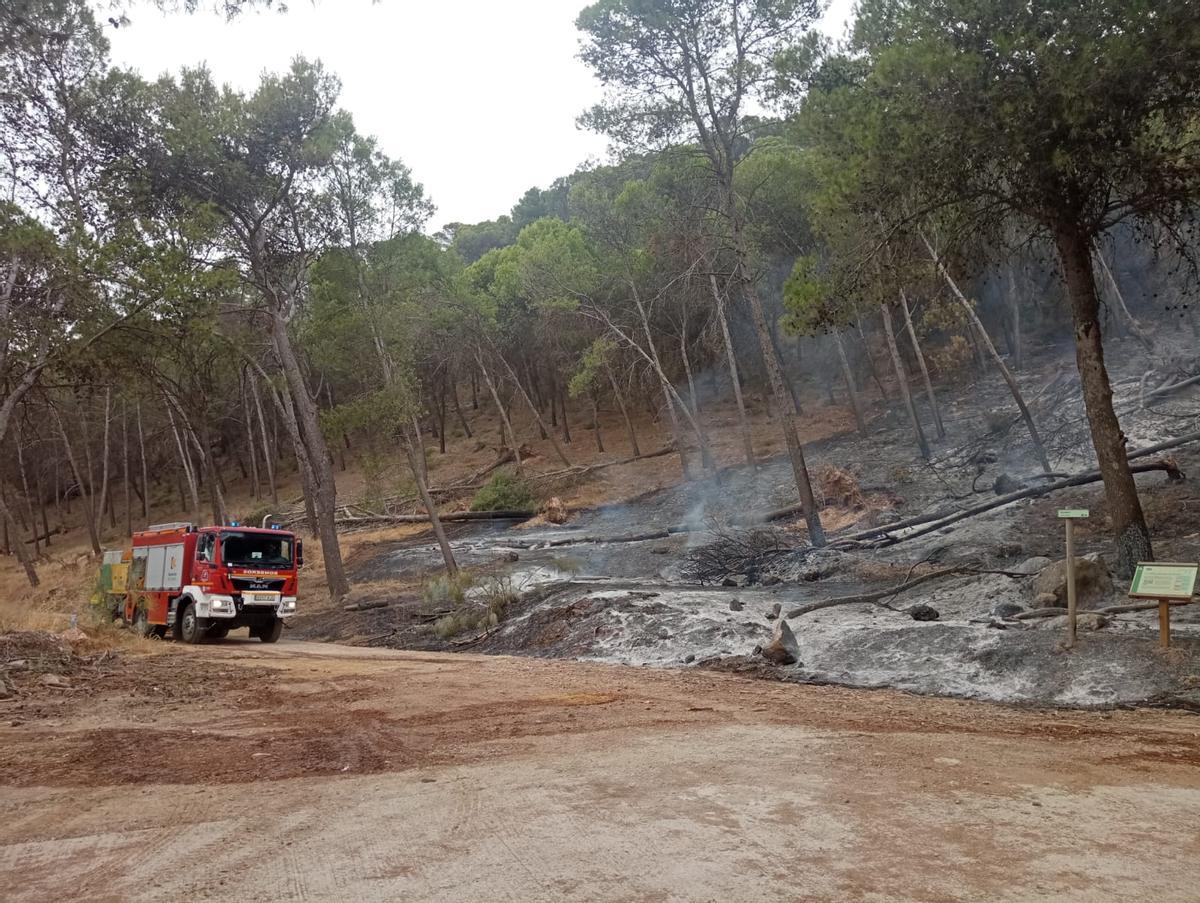 El Infoca combate un grave incendio forestal en Rute El Infoca combate un grave incendio forestal en Rute